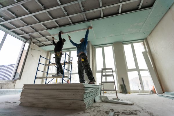 Construction worker assemble a suspended ceiling with drywall and fixing the drywall to the ceiling metal frame with screwdriver. Renovation, construction and do it yourself. High quality photo